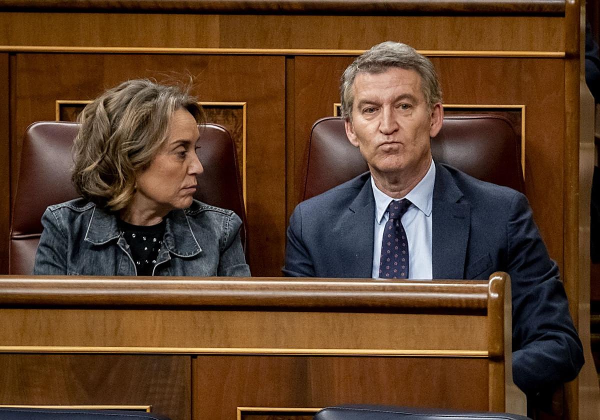 Cuca Gamarra y Alberto Núñez Feijóo, este miércoles en el Congreso