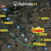 Captura de la web Flightradar este jueves por la mañana