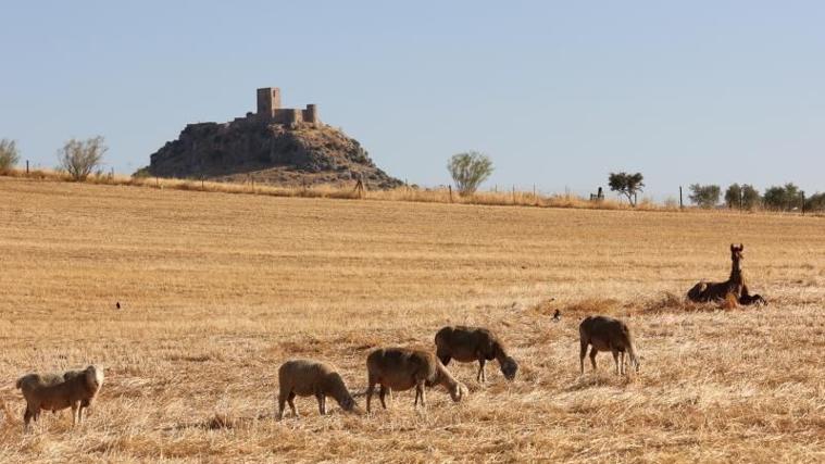 Descubre los mejores castillos para visitar en Córdoba
