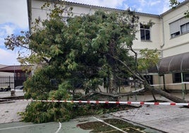 La borrasca 'Herminia' deja sus primeras incidencias en Castilla-La Mancha