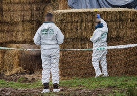 La autopsia ve «violencia» en el cuerpo del joven de 20 años hallado muerto en Ciudad Rodrigo