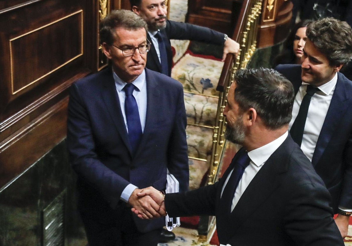 Alberto Núñez Feijóo y Santiago Abascal se saludan en el Congreso