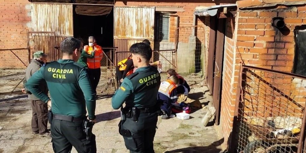 Agentes de la Guardia Civil salvan la vida a un ganadero de 76 años tras reanimarle en Navaluenga (Ávila)