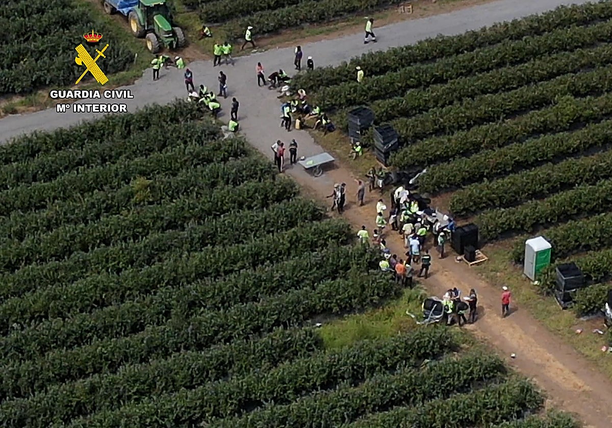 Momento de la operación desarrollada por la Guardia Civil