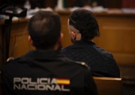 El acusado de matar al exconcejal granadino Castillo Higueras: «Soy incapaz, sólo quise ayudarle»