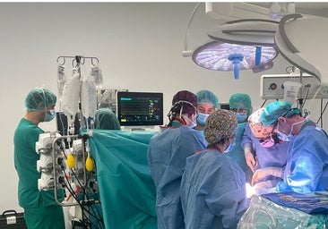 El Hospital 12 de Octubre, mayor trasplantador de órganos sólidos en el año 2024 en la región