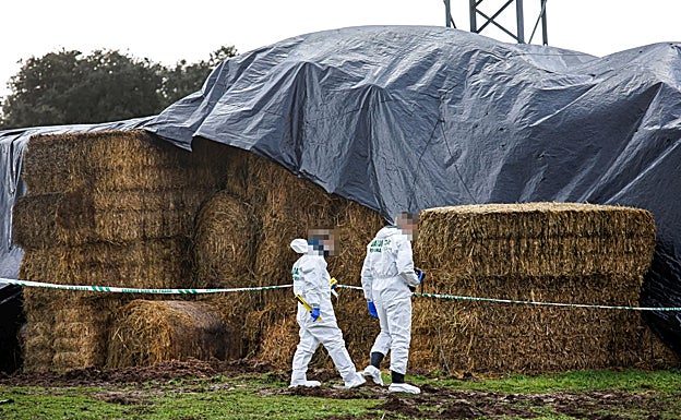 Policía Científica el pasado sábado en el lugar en el que se halló el cadáver