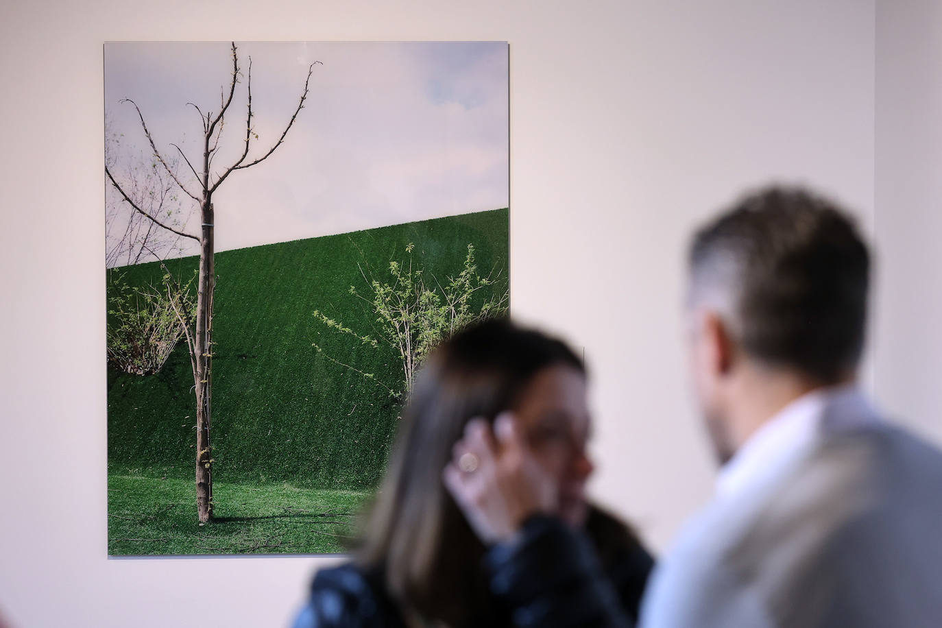 La exposición de obras del Premio Pilar Citoler, en imágenes