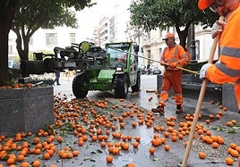 Multan por error a 71 vecinos del Campo de la Verdad por no quitar sus coches en la recogida de la naranja en Córdoba