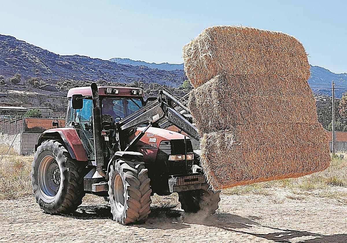 Un tractor con alpacas de paja