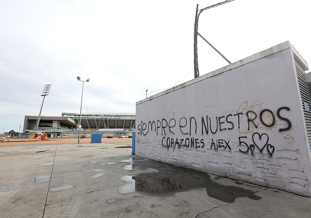 Pintada en recuerdo del menor fallecido junto a la zona recreativa del Arcángel