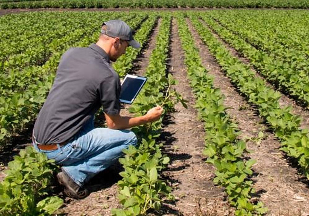 El solicitante deberá tener entre 18 y 40 años de edad