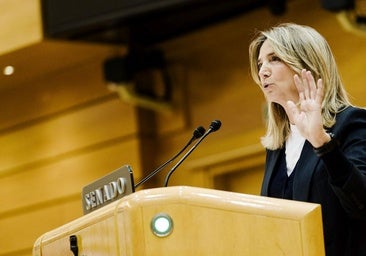 El Senado activará otro choque con el Congreso y el Gobierno por la ley de eficiencia judicial