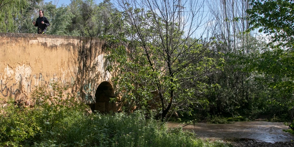 El Gobierno apunta ahora la licitación de la obra del arroyo Pedroche para el segundo semestre de 2025