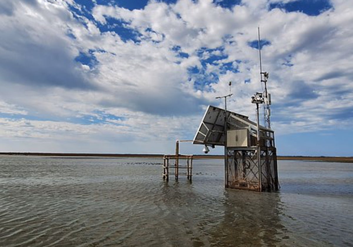 Estación meteorológica de la ICTS Doñana en Lucio del Rey en la marisma de Doñana.