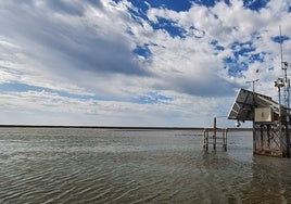 Doñana necesita varios años húmedos sucesivos para compensar su déficit hídrico pese a las últimas lluvias