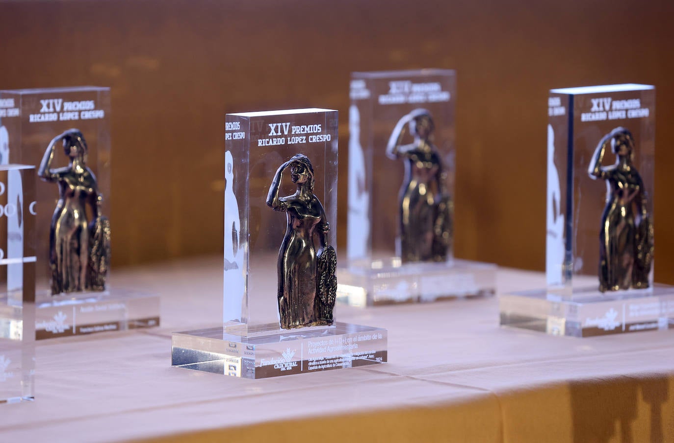 La entrega de los Premios &#039;Ricardo López Crespo&#039; en Córdoba, en imágenes