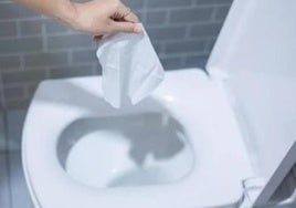Emacsa habla claro: esto es lo que no debes tirar al váter