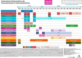 El calendario andaluz de vacunas de 2025 introduce la del rotavirus en lactantes y la de la tosferina en adolescentes