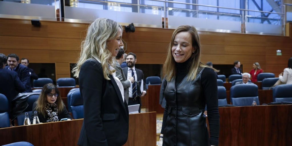 El consejo de Ayuso a la nueva portavoz del PSOE de Madrid: «Insúlteme mucho, que así le irá muy bien en el sanchismo»