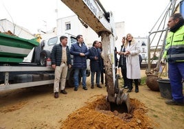 Proyecto Hislas: las nuevas zonas verdes para el Casco de Córdoba arrancan en el Cine Andalucía