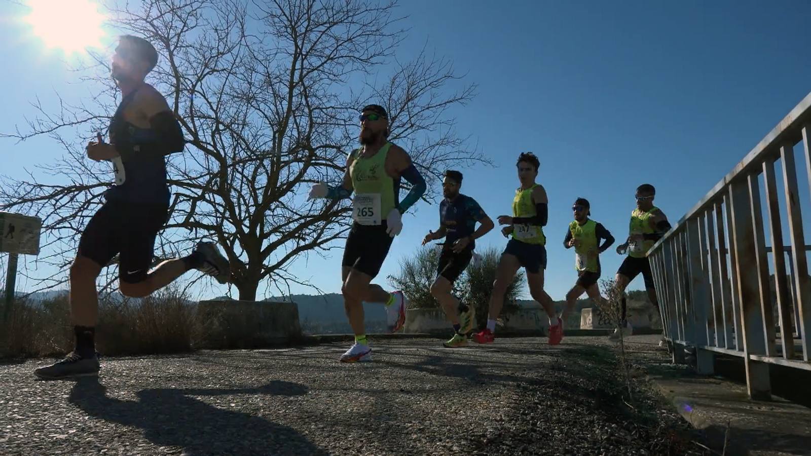 La emocionante jornada de la Media Maratón de Puente Genil: un repaso en fotos