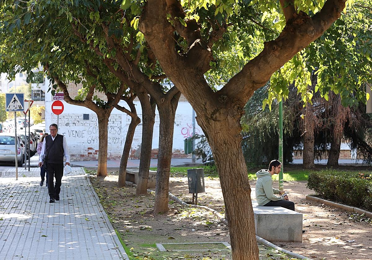 Zona verde en el barrio de Huerta de la Reina