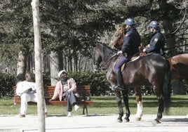 «No» rotundo del Pleno de Retiro a la propuesta del PSOE de poner 'pañales' a los caballos que patrullan el parque