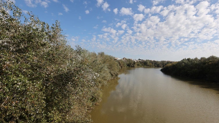 La declaración ambiental frena ahora la gran obra del parque fluvial del río Guadalquivir en Córdoba