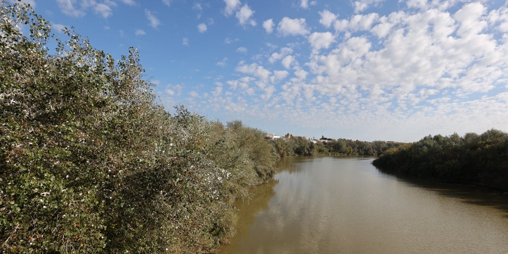 La declaración ambiental frena ahora la gran obra del parque fluvial del río Guadalquivir en Córdoba