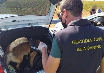 Rayo lo ha vuelto a hacer: el perro de la Guardia Civil de Albacete pilla a dos hombres con 200 gramos de hachís en un vehículo