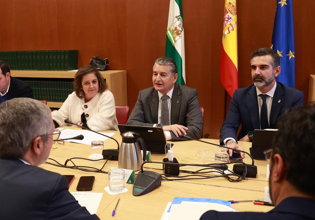 Los consejeros Catalina García, Antonio Sanz y Ramón Fernández-Pacheco, durante la Comisión