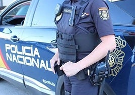 Detenidos en Málaga y Cádiz los proveedores de una red de narcos italiana