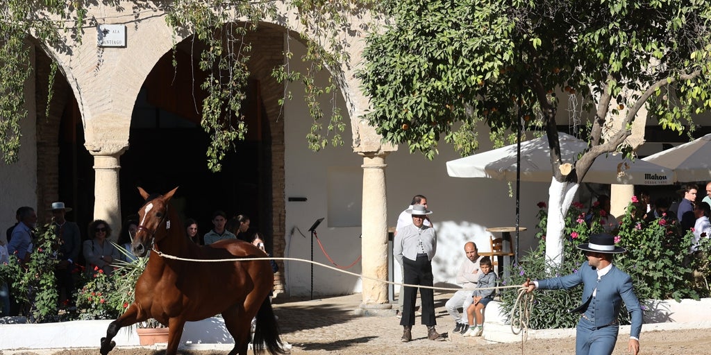 La cesión de Caballerizas Reales, pendiente de flecos jurídicos