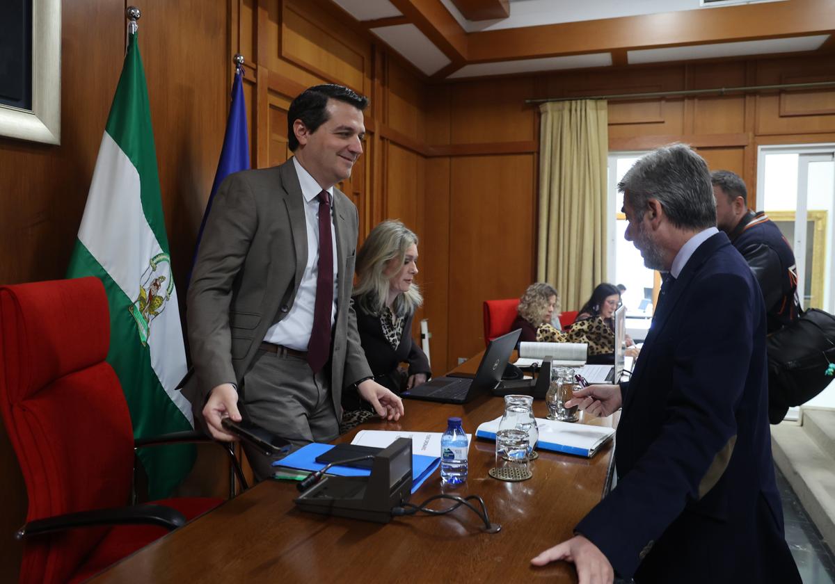 Imagen del Pleno del Ayuntamiento de Córdoba, celebrado este jueves