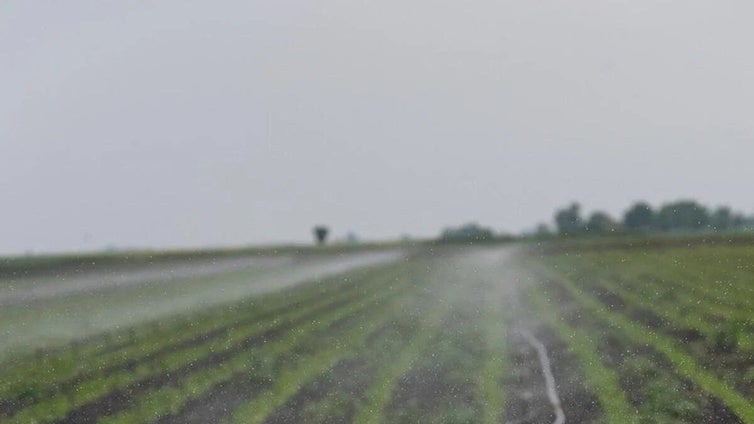 Los regantes del Guadiana piden que no se les estigmatice y recuerdan que gracias a ellos hay alimentos de calidad