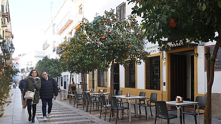 Salud aclara que las «deficiencias graves» en la intoxicación con montaditos de pringá en Córdoba «se asocian al proceso seguido y la higiene»