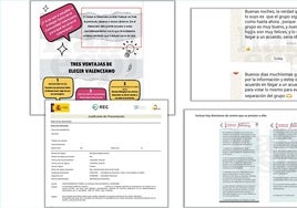 Presentan 93 pruebas de la «manipulación» para que las familias no voten por el castellano en las aulas