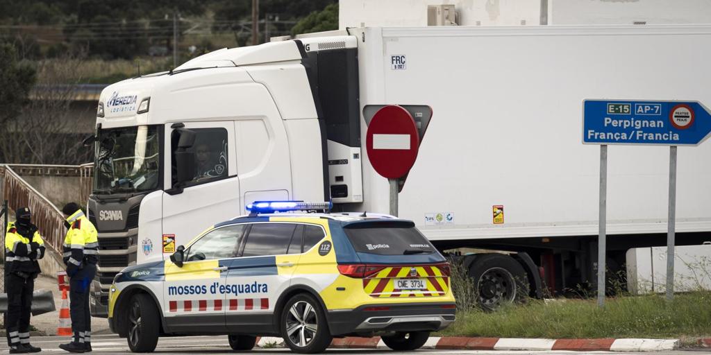 Detenida una familia por cultivar 676 plantas de marihuana y esconder más de 90.000 euros en Cataluña