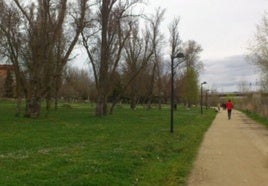 Muere un niño de tres años atragantado con una uva en un parque de Zamora