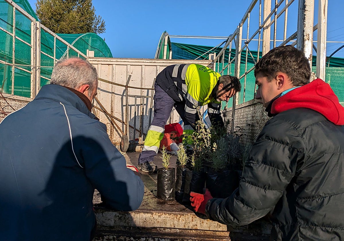 La Diputación dona más de 27.000 plantas a 244 entidades locales, centros educativos, instituciones y asociaciones