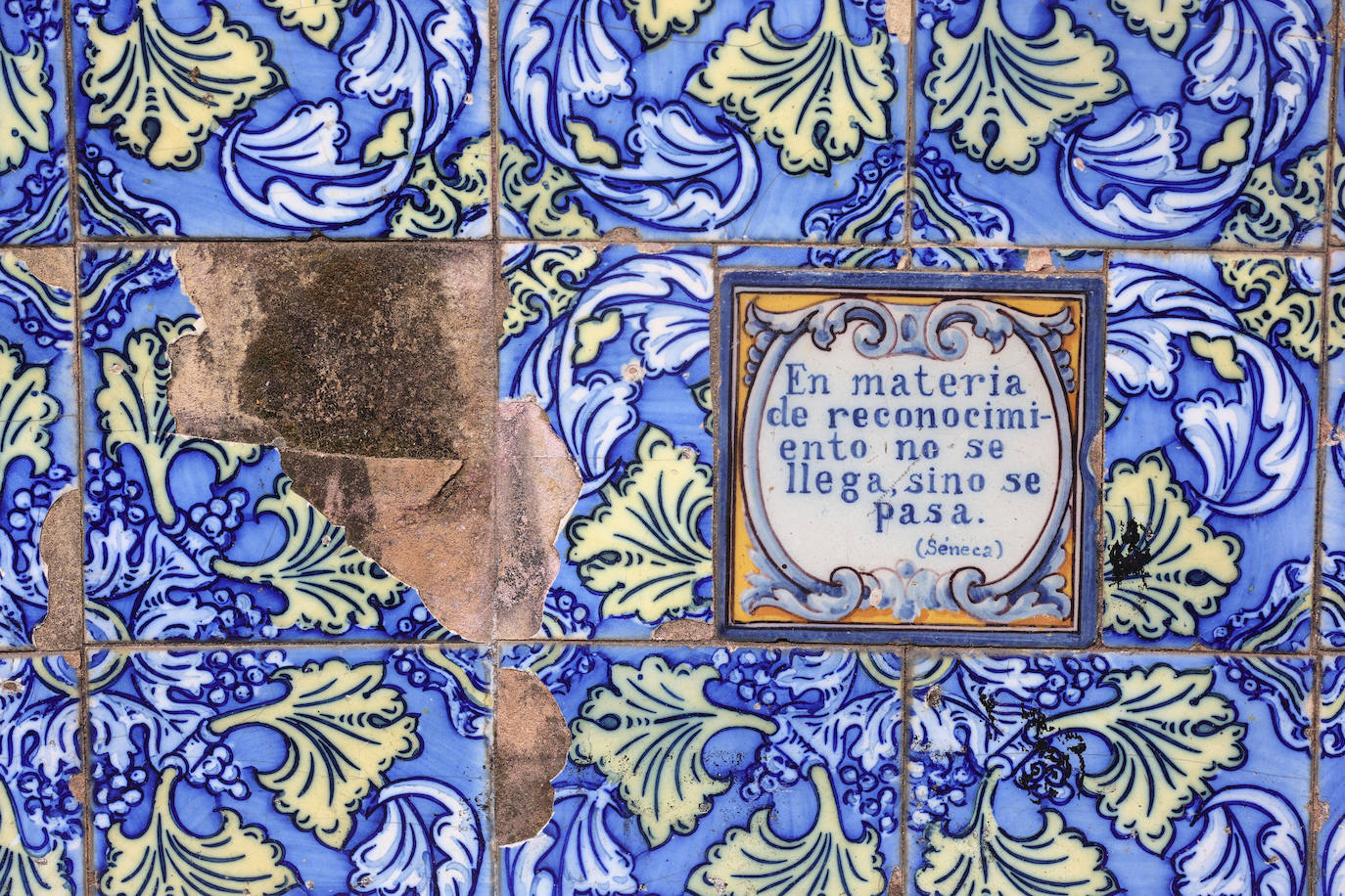 El abandono de los icónicos bancos de los Jardines de Agricultura, en imágenes