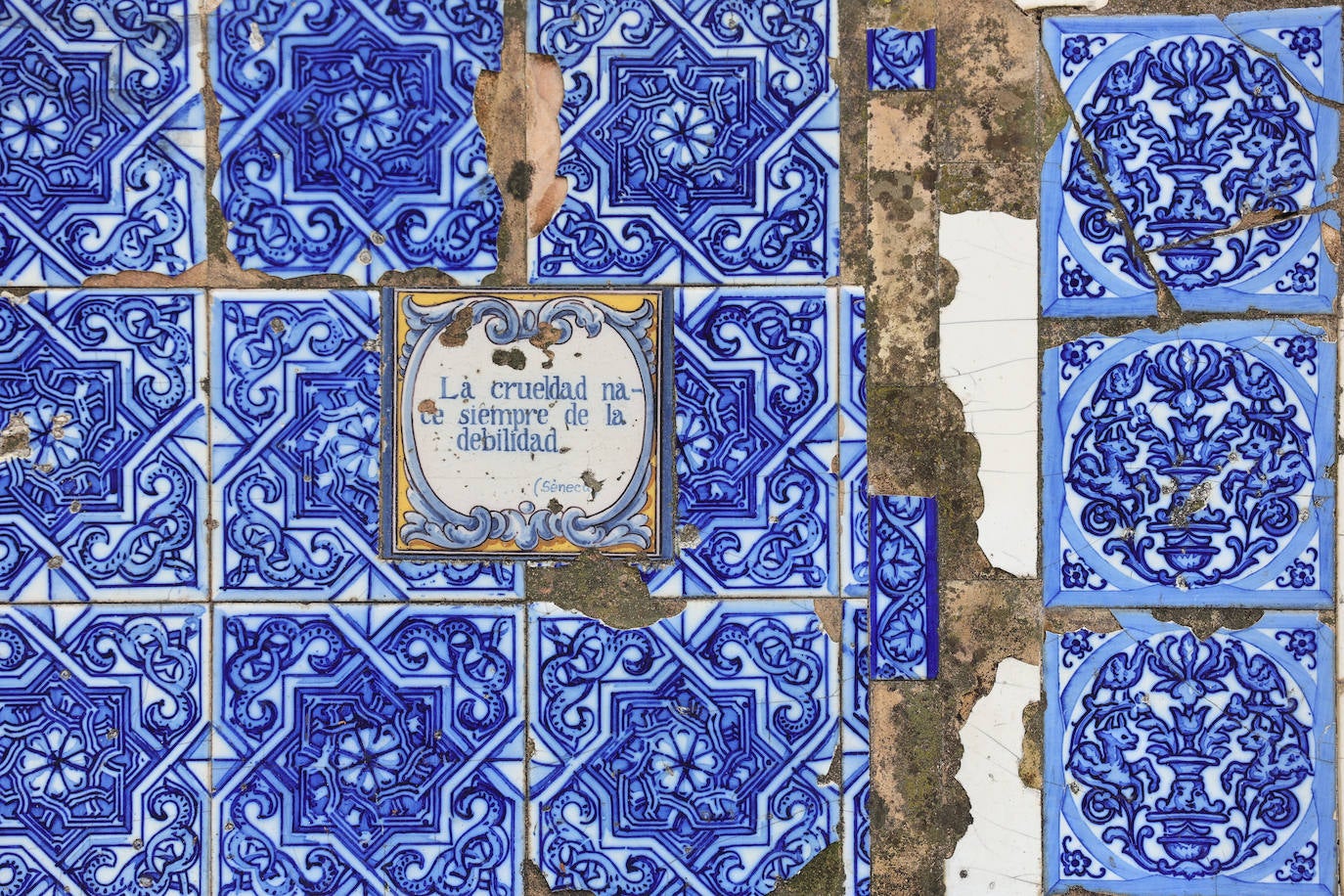 El abandono de los icónicos bancos de los Jardines de Agricultura, en imágenes