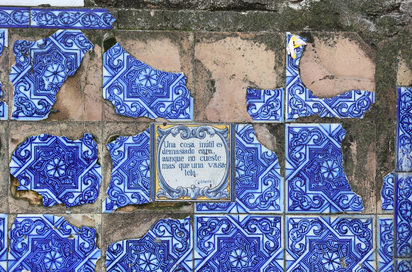 El abandono de los icónicos bancos de los Jardines de Agricultura, en imágenes