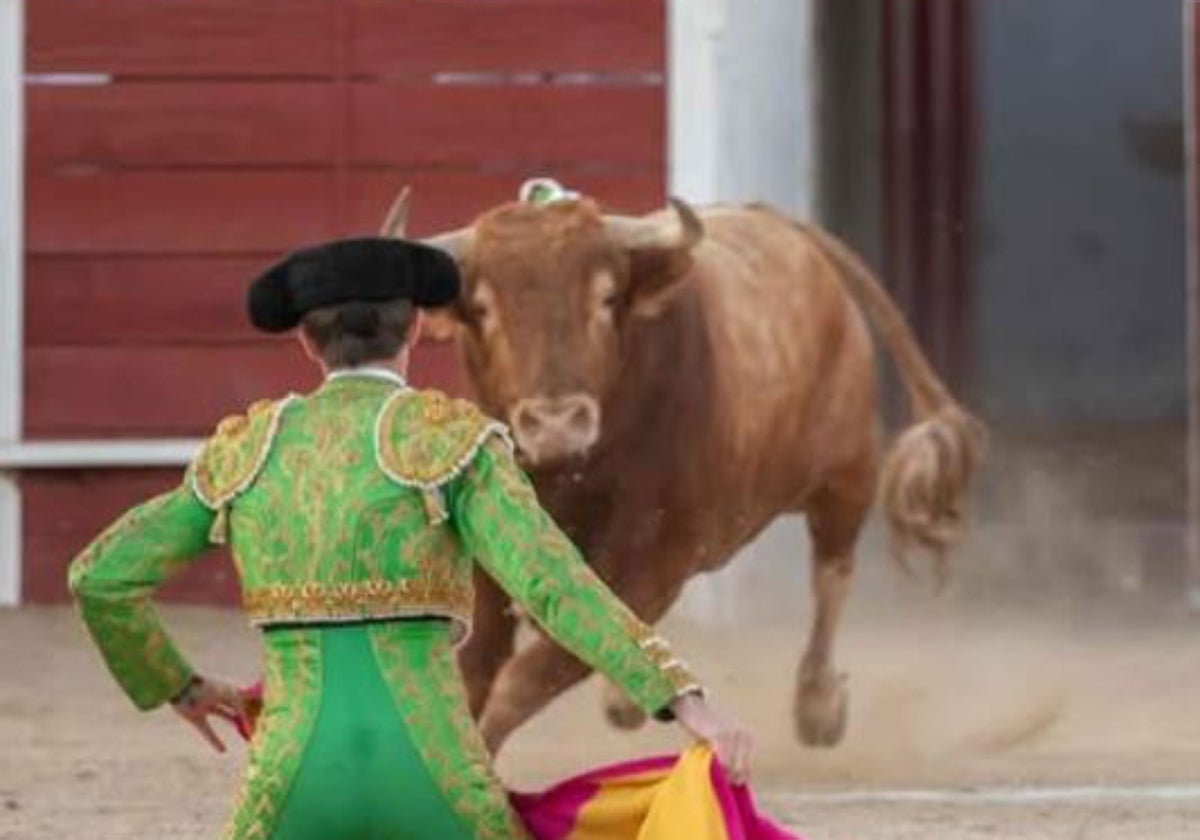 Vilau, en Mejorada del Campo, en su debut con picadores