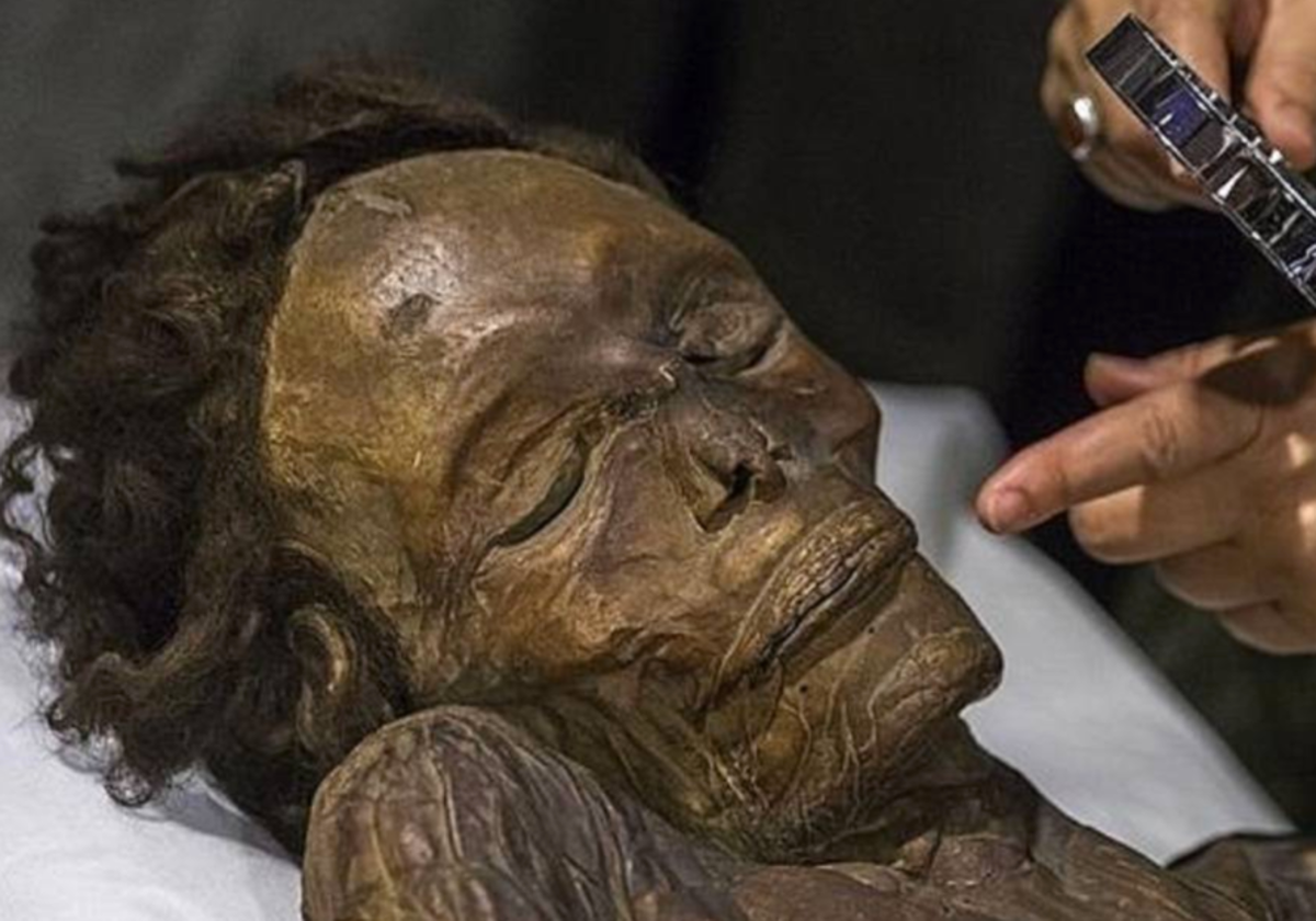 Plano de la cara de esta momia guanche, en el Museo Arqueológico Nacional de Madrid