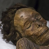 Canarias reclama su momia guanche, que pasará a un almacén en Madrid
