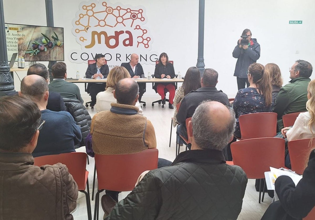 Jornada técnica en Mora dedicada al olivar tradicional