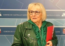 Muere la histórica procuradora socialista Inmaculada García Rioja