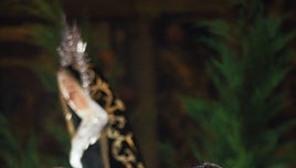 Javier Burrieza recogerá la Medalla de Oro de las Cortes otorgada a la Semana Santa de Castilla y León